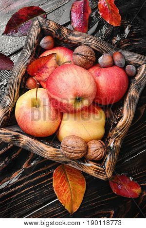 Ripe Autumn Apples