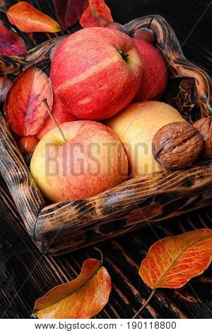 Ripe Autumn Apples