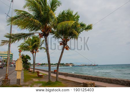Waterfront with beautiful trees in cloudy weather. Dumaguete City, Philippines