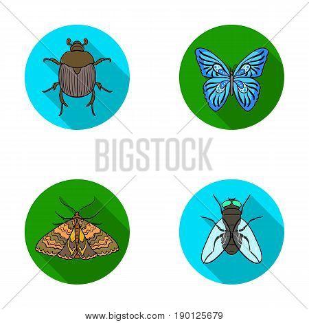 Wrecker, parasite, nature, butterfly .Insects set collection icons in flat style vector symbol stock illustration .
