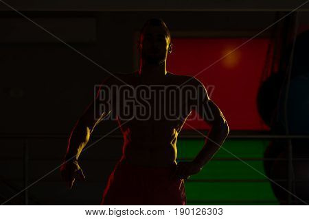 Silhouette Bodybuilder Flexing Muscles