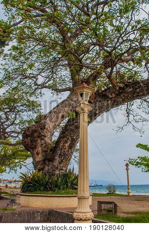 Waterfront with beautiful trees in cloudy weather. Dumaguete City, Philippines