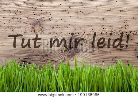 German Text Tut Mir Leid Means Sorry. Spring Season Greeting Card. Bright Aged Wooden Background With Gras.