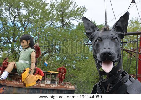 MONTREAL QUEBEC CANADA 19 05 17: Giants Xolo dog walking in the street of Montreal for the 375e anniversary of the city, by Royal De Luxe company Nantes France