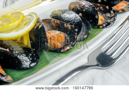 Oysters with lemon on long white plate