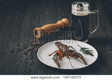 Food concept. Big fresh alive crayfish on white plate with green herbs in restaurant. Dark beer in glass and pepper grains around. Gray wooden background. Instagram vintage toning effect. Copy space.