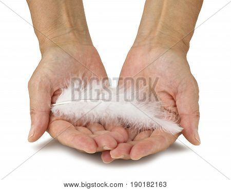 Angelic - Female hands open with a white fluffy feather laid on top isolated against a white background