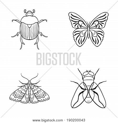 Wrecker, parasite, nature, butterfly .Insects set collection icons in outline style vector symbol stock illustration .