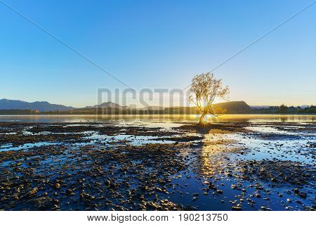 The famous lone tree of lake Wanaka is located at the foothills of Mount Aspiring National Park a World Heritage Site in sunrise Wanaka South Island of New Zealand