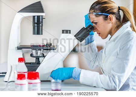 Researcher In Laboratory, Toned Image, Indoors, One Person Only