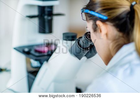 Researcher In Laboratory, Toned Image, Indoors, One Person Only