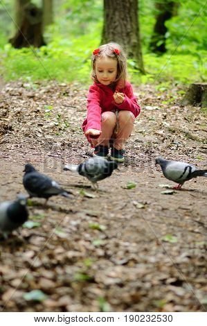 Girl feeds city pigeons in the park.
