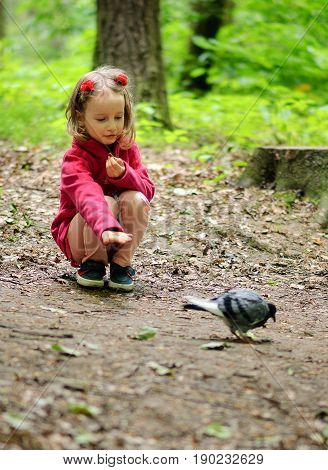 Girl feeds city pigeons in the park.