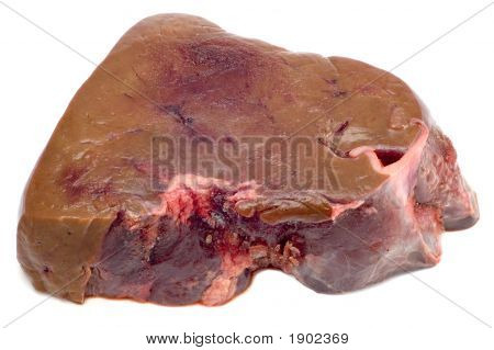 Kalb Leber