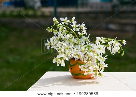 A bouquet of flowers birdcherry tree in orange wooden bowl on a wooden table on a dark green background, closeup