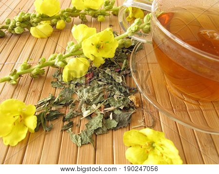 Cup of tea with mullein flowers and fresh flowers