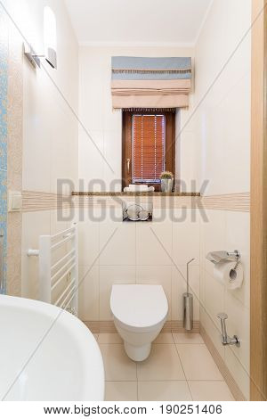 Small Functional Toilet With White Toilet Bow