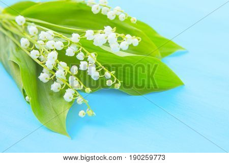 Spring White Lilies Of The Valley On A Blue Wooden Background
