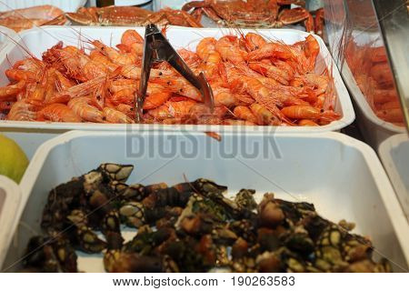 Fresh Shrimps on Fish Market in Madrid. Spain