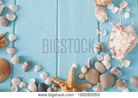 Seashells on blue wood, sea vacation background top view with copy space on wooden planks