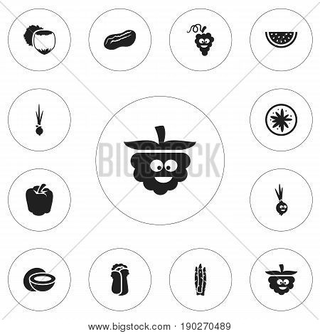 Set Of 12 Editable Food Icons. Includes Symbols Such As Bulgarian Bell, Cokernut, Filbert And More. Can Be Used For Web, Mobile, UI And Infographic Design.