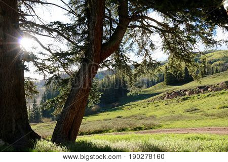 San Juan National Forest in Durango, CO