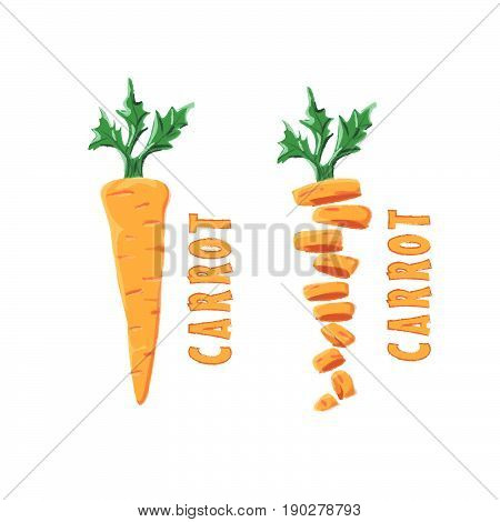 Logo Icon Symbol Design Carrot Farm Creative