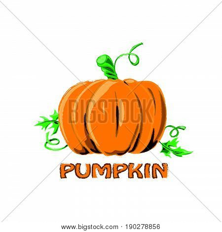 Logo Icon Symbol Design Pumpkin Farm Creative