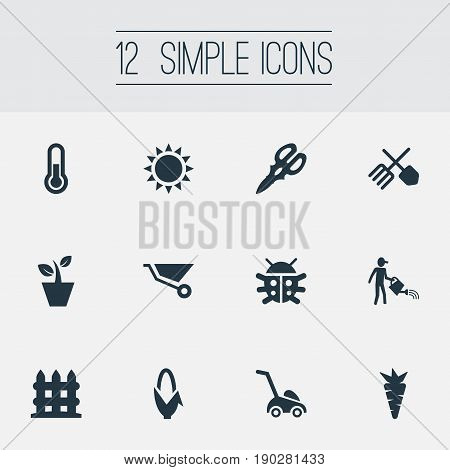 Vector Illustration Set Of Simple Horticulture Icons. Elements Beetle, Sunshine, Flowerpot And Other Synonyms Vegetable, Corn And Carrot.
