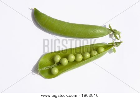 Hülsen der Erbsen