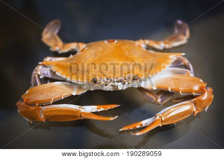 Sale Of Crabs In The Markets Of India