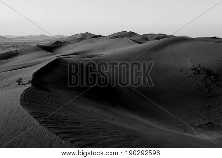 In Oman Old Desert  Rub Al Khali The Empty  Quarter And Outdoor  Sand Dune