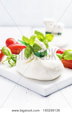 Italian burrata cheese with basil onion olive oil on white plate on light background. Selective focus free text space.
