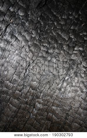 Abstract background texture of naturally burned redwood tree.