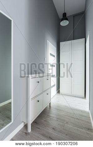Gray Entryway With Wardrobe