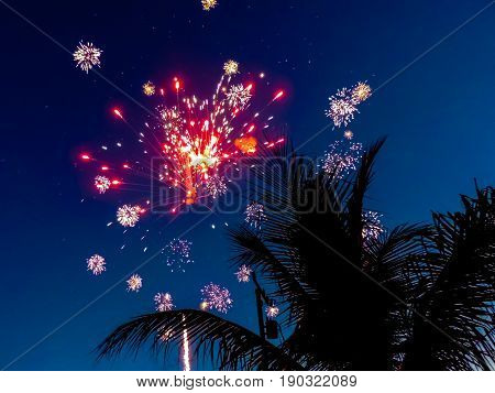 red and white fireworks on clear evening with blue skies