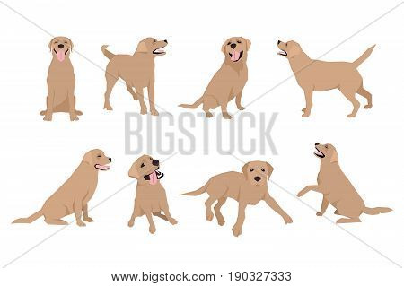 Animal dog Labrador character icon set in flat style. Design template. EPS10 illustration.