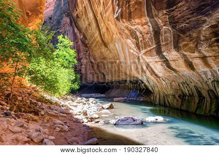 The Narrows in Zion National Park. A cavern cut by the Virgin River in the desert