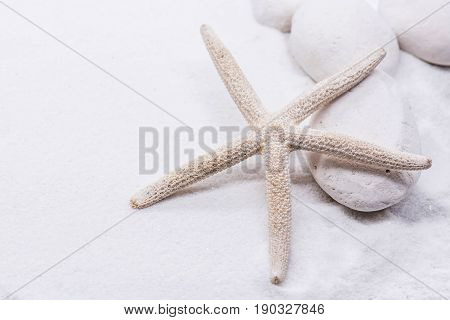 summer season decotion on white sand beach