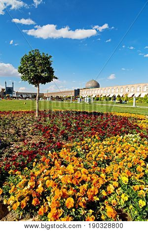 In Iran   The Old  Square