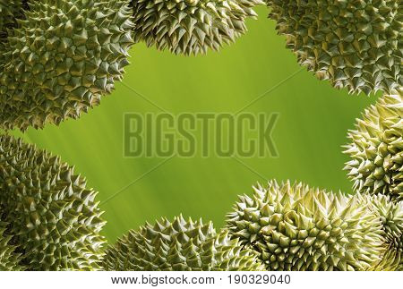 durian Thai King fruit withe green design