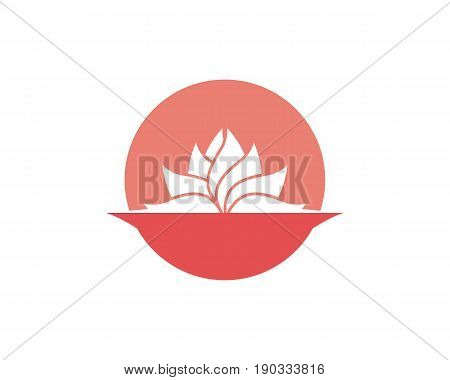 Beauty Vector flowers design logo Template icon