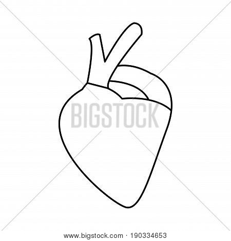 heart of human body health medicine cardiology anatomy vector illustration