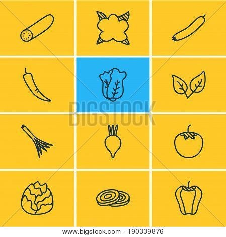 Vector Illustration Of 12 Food Icons. Editable Pack Of Cauliflower, Peppermint, Cole And Other Elements.