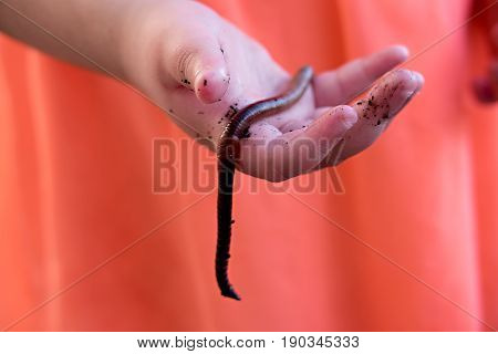 Child holding worm in her hand against coral background
