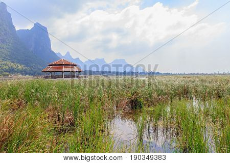 Old pavilion in lake of Khao Samroiyod National Park, Prachuap Khiri Khan, Thailand.