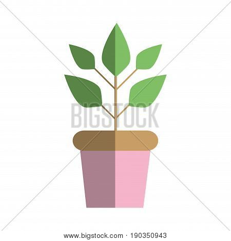 plant inside flowerpot to ecology preservation vector illustration
