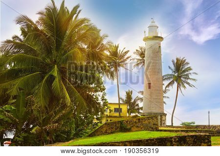 White lighthouse and tropical palms fort Galle Sri Lanka.