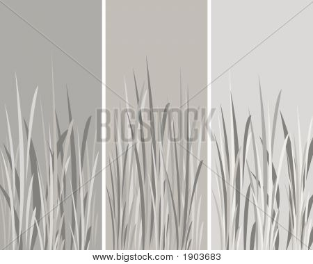 3 Grauen Panelen mit Blumen Hintergrund