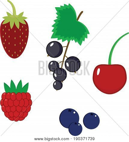 Set of simple vector berries.Can be used for invitations, sticker and cards.